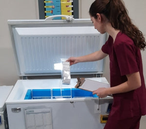 Nurse removing products from the TempArmour Vaccine Refrigerator (Model BFRV84)